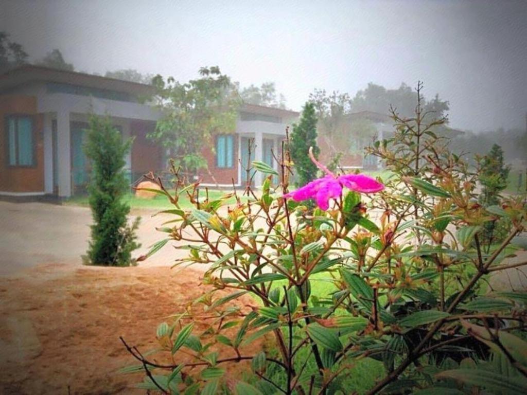 Nutchana Hill Boutique Hotel Hat Yai Exterior photo